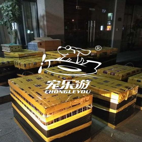 上海宠乐游宠物托运【登机中的宠物】