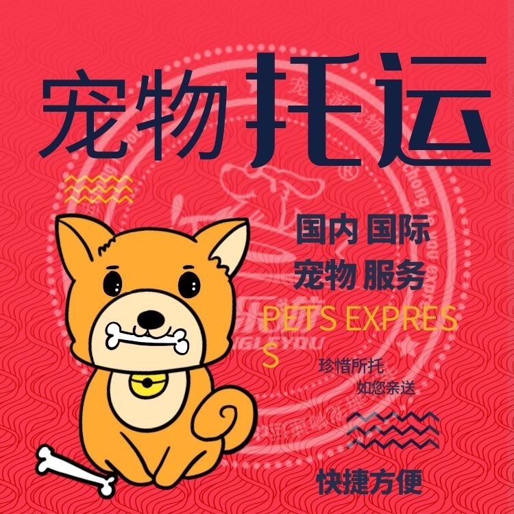 航空狗狗托运，火车狗狗运输，猫咪运输方式咨询