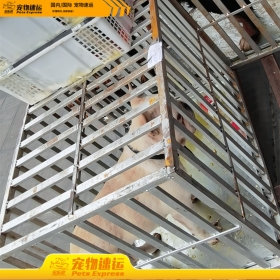 重庆宠乐游宠物托运