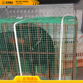 浙江宠乐游宠物托运