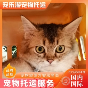 宠物运输方式选择，宠物托运价格，苏州到昆明托运费用