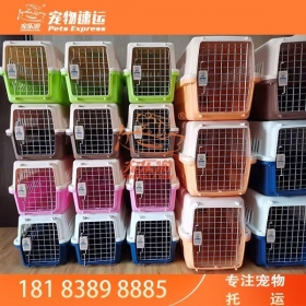 宠乐游宠物托运，昆明托运宠物到外地，宠物运输联系