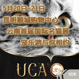 西南首届名猫展（即云南首届国际名猫展）在昆举行