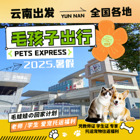 老师学生福利季！暑假云南出发宠物托运