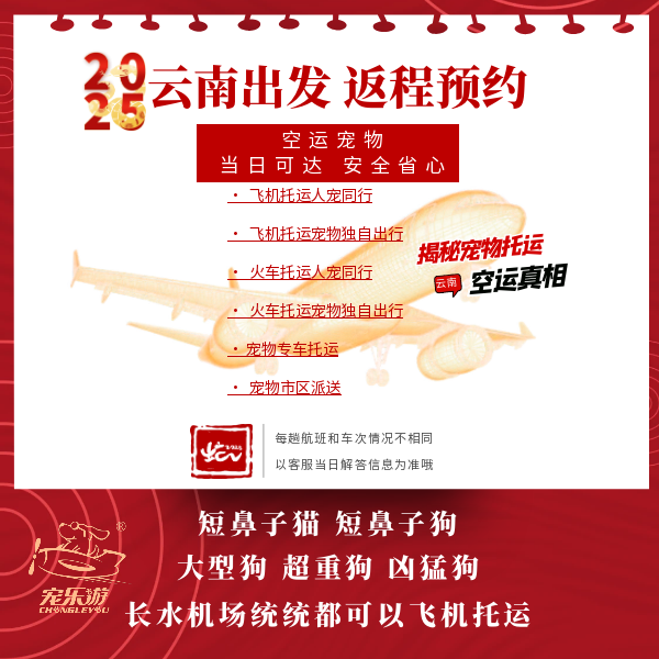 2025年春节返程托运预约