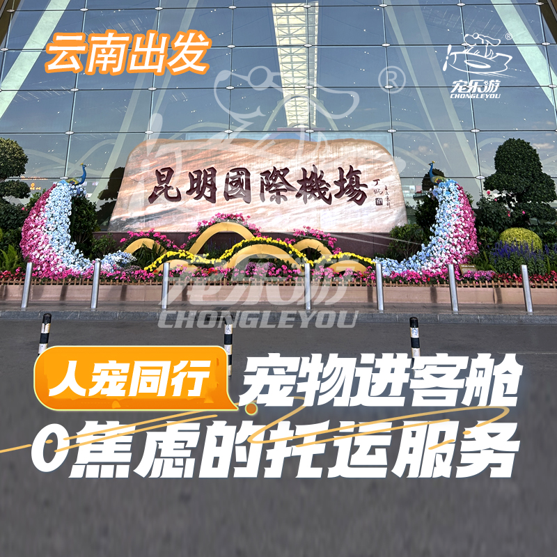 昆明长水机场宠物进客舱和随机服务