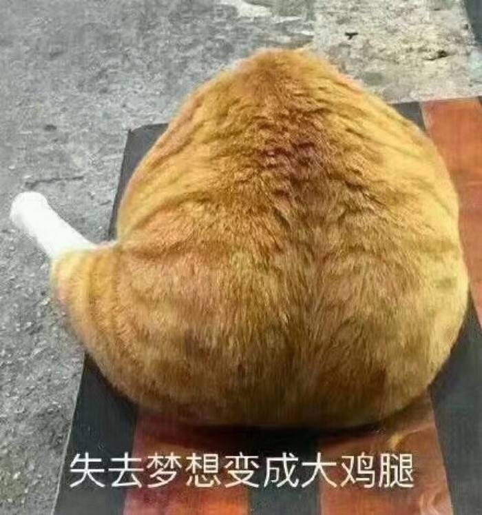 4.1.jpg