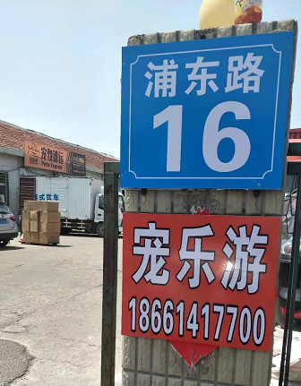 青岛宠乐游门店2.png