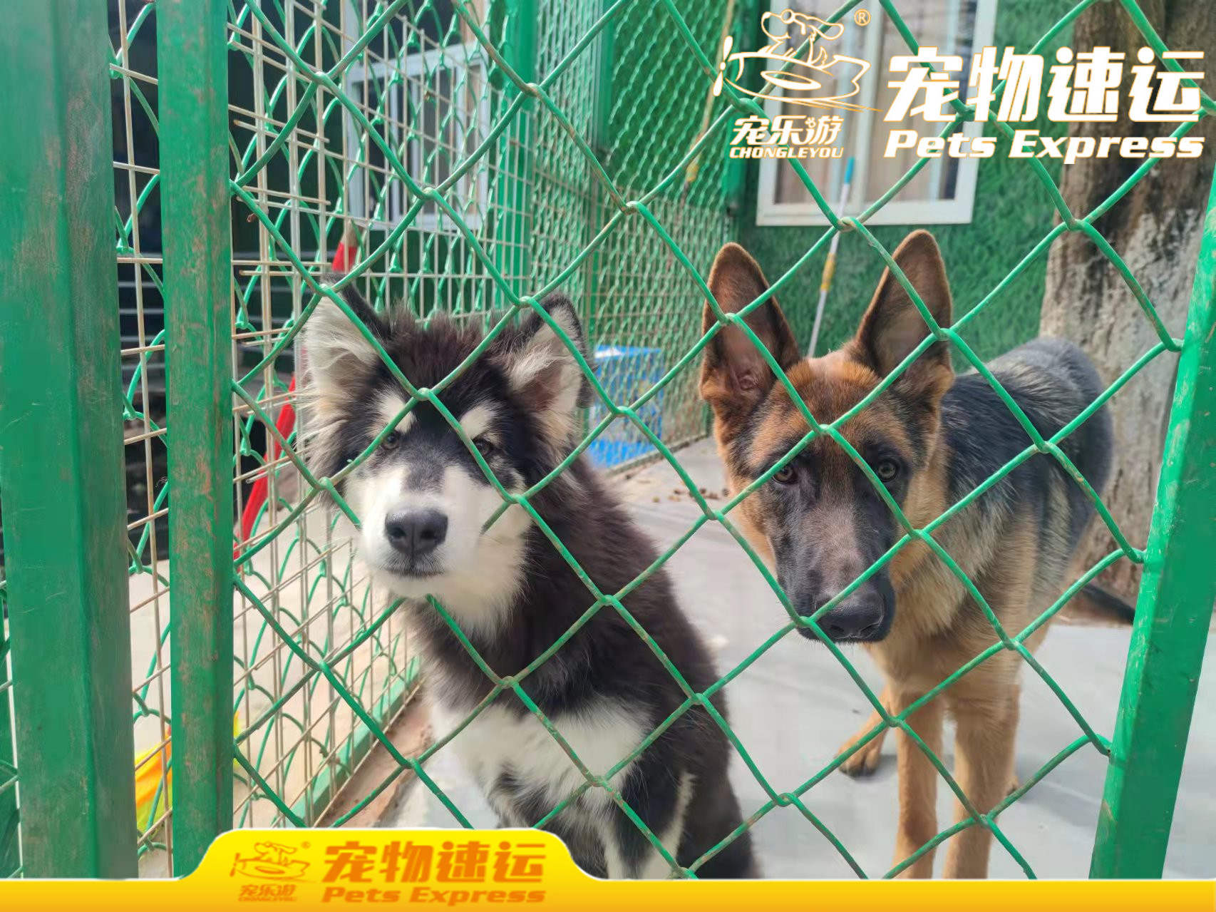 da669e4197f744349f342842b9ca220_副本.jpg