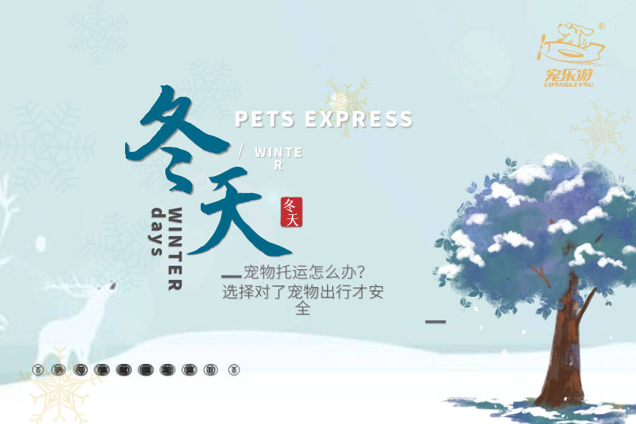 冬天托运宠物注意事项.png